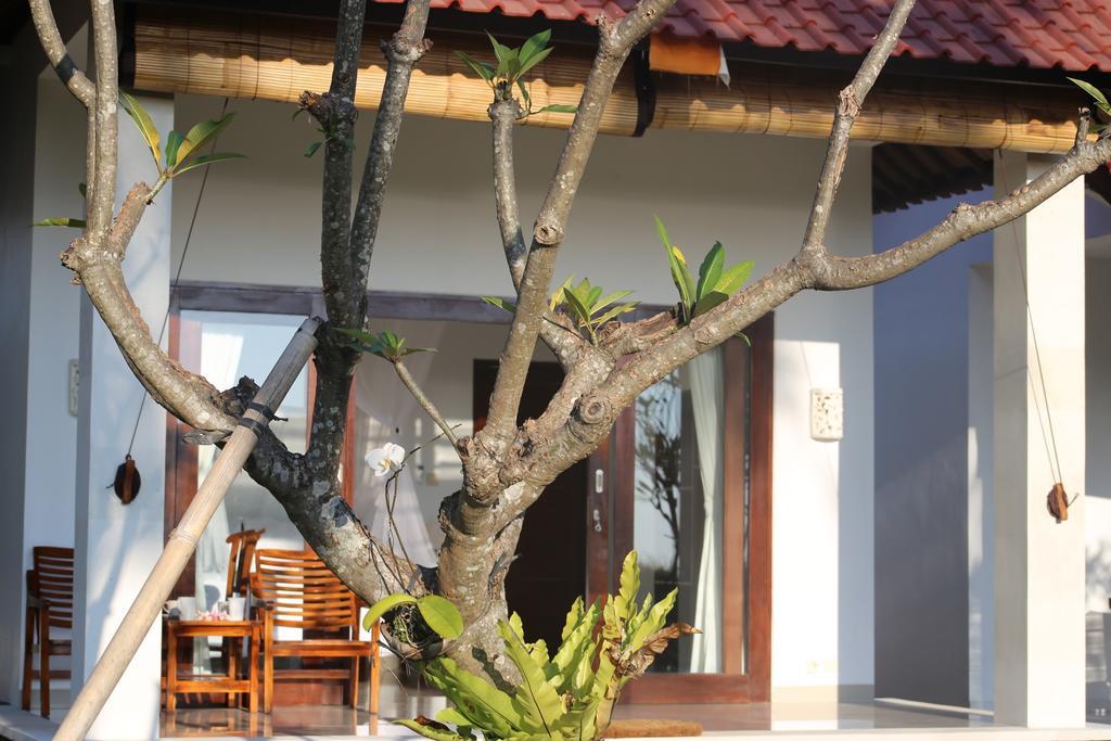Soka Amed Beach Zimmer foto